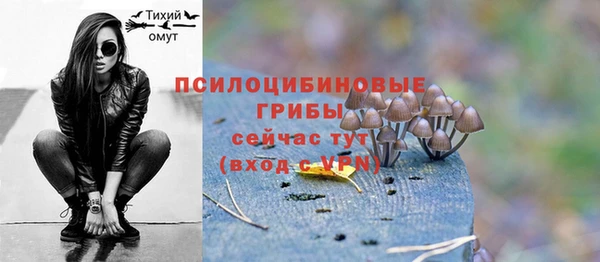 мдпв Касимов