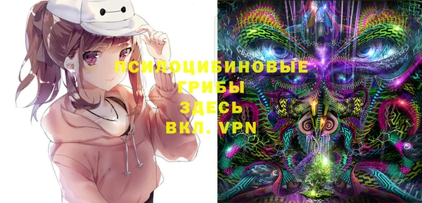 кокс Каменногорск