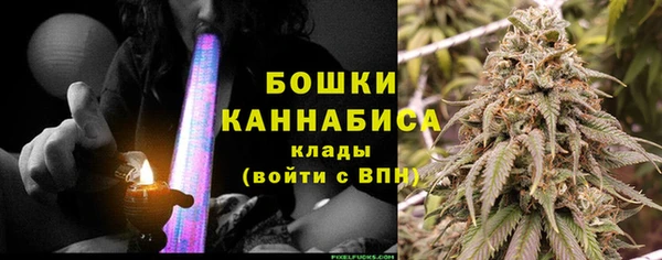 spice Каменка