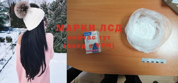 spice Каменка
