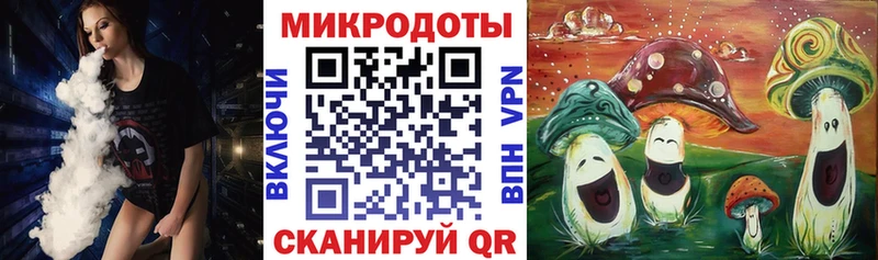 kraken зеркало  Димитровград  Псилоцибиновые грибы прущие грибы 